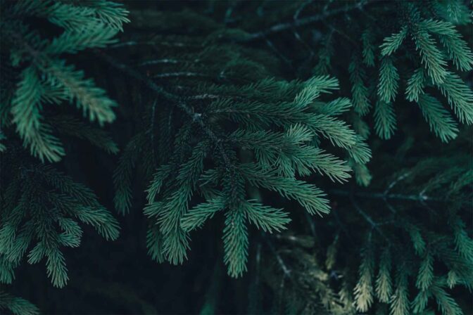 PMU at Odisha Urban Infrastructure Development Fund(OUIDF),Bhubaneswar